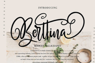 Berttina: A Handwritten Font for Modern Web Design
