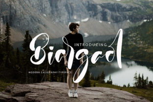 Biargaol: A Playful Font That Elevates Brand Design