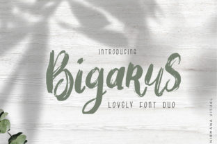 Bigarus: A Bold Handwritten Typeface for Modern Web Design
