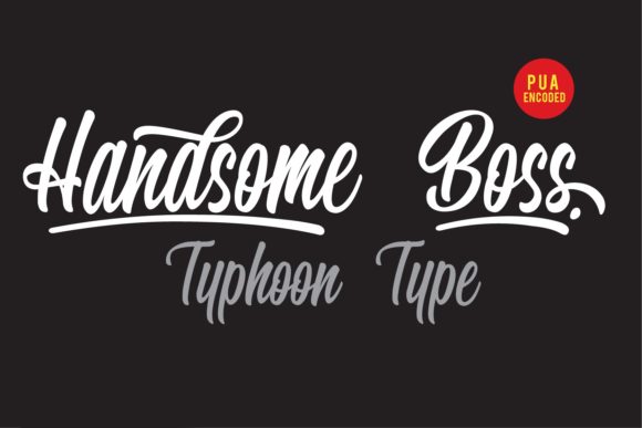 Handsome Boss: A Script Font with Personality