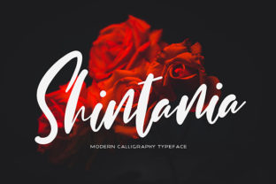 Shintania Font: A Romantic Script for Editorial Elegance